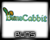 BunsCabbit Banner