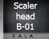 !A Scaler head B-01