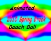 2010 Beach Ball