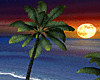 Moonlight Tiki Island