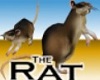 Dd!- The Rat