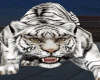 tiger ta2