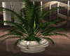 Refined Plant 2