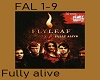 Flyleaf