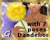 G- Dandelion With Poses