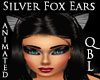 Silver Fox Ears