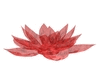 red aura flower 