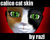 Calico Cat