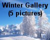 (MR) Winter Gallery