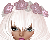 Pink /White Hair FLowers