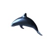{LS} dolphin decor