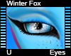 Winter Fox Eyes