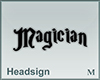 Headsign Magician