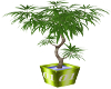 Small Tree Planter {DER}