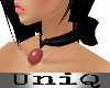 UniQ Pet Collar 3