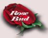 Rose Bud STKER