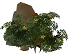 Rock with yellow flowers