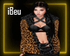 Be - Jaguar F Coat G