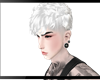 Hair whate-Platinum
