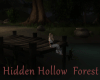 Hidden Hollow Forest