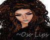 Lipgloss 4 Mesh Heads