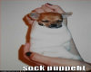 Sock Puppy