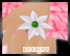 *D* White Lily Ring Lh