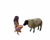 {LS} Farm Sheep