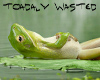 toadaly wasted