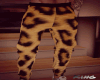 Cheetah Sweats