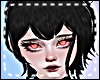 *Y* Mavis Dracula