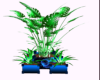 Plant in Blue
