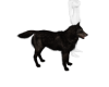 *Anim* Werewolf Pet