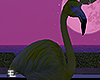 Paradise / Flamingo