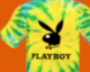 Tied Playboy