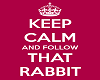 {JR} Follow the Rabbit