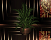 JAZZ POTTED PLANT