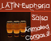 Latin Euphoria Congas