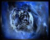Blue Tiger Passion Room