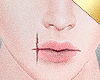 ✶Montana Lips Scar