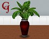 Red Vase w Large Palms