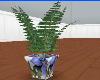 new  potter fern