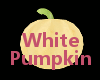 Perfect White Pumpkin