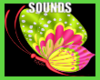 Dj Light PN 1/6 + Sounds