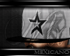 Mx|Houston  Ftd