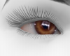 brown eyes