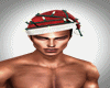 Santa Hat Lights
