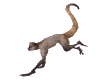 Pet Monkey Furniture