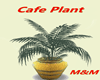M&M-Cafe Plant