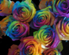 rainbow rose rug